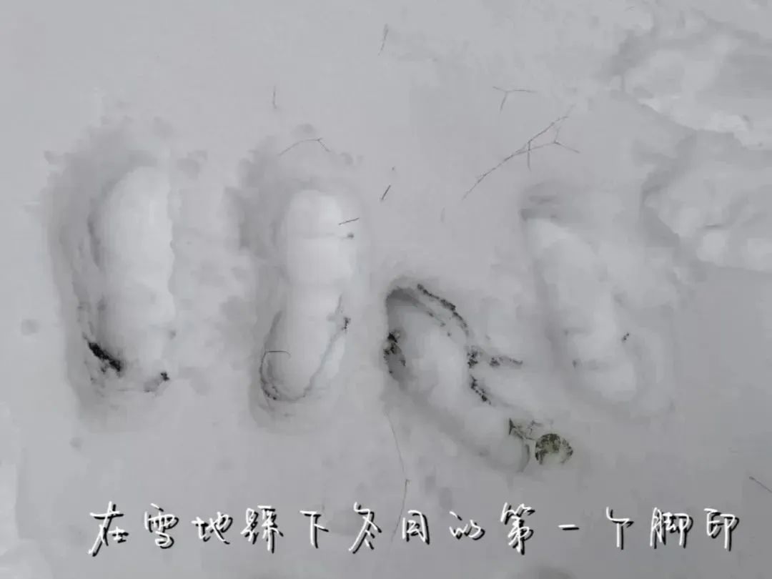 23.jpg 23.jpg