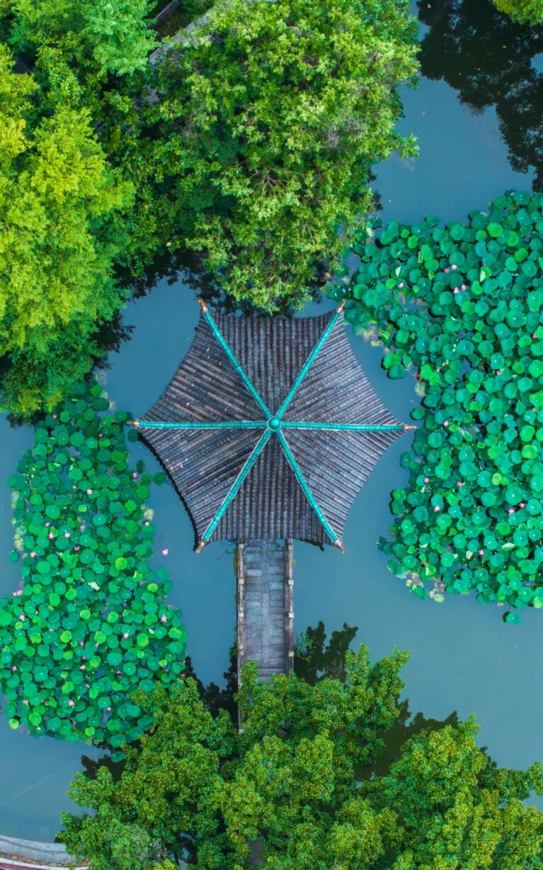 绿色湖大,你“植”得拥有!-14.jpg 绿色湖大,你“植”得拥有!-14.jpg