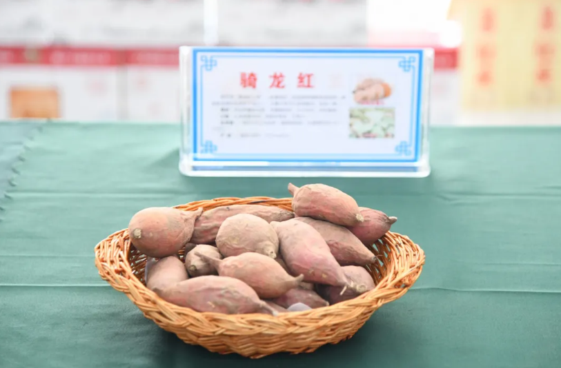 屏幕截图 2025-02-10 220158.png