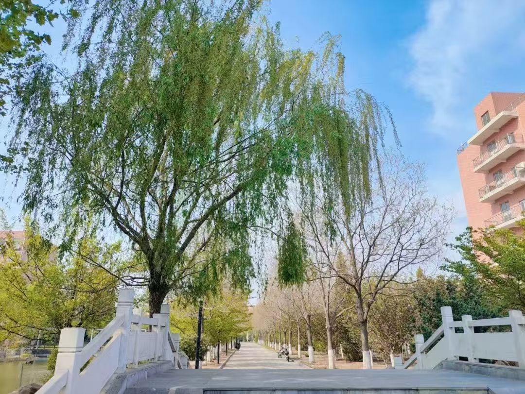 微信圖片_20250414172621.jpg