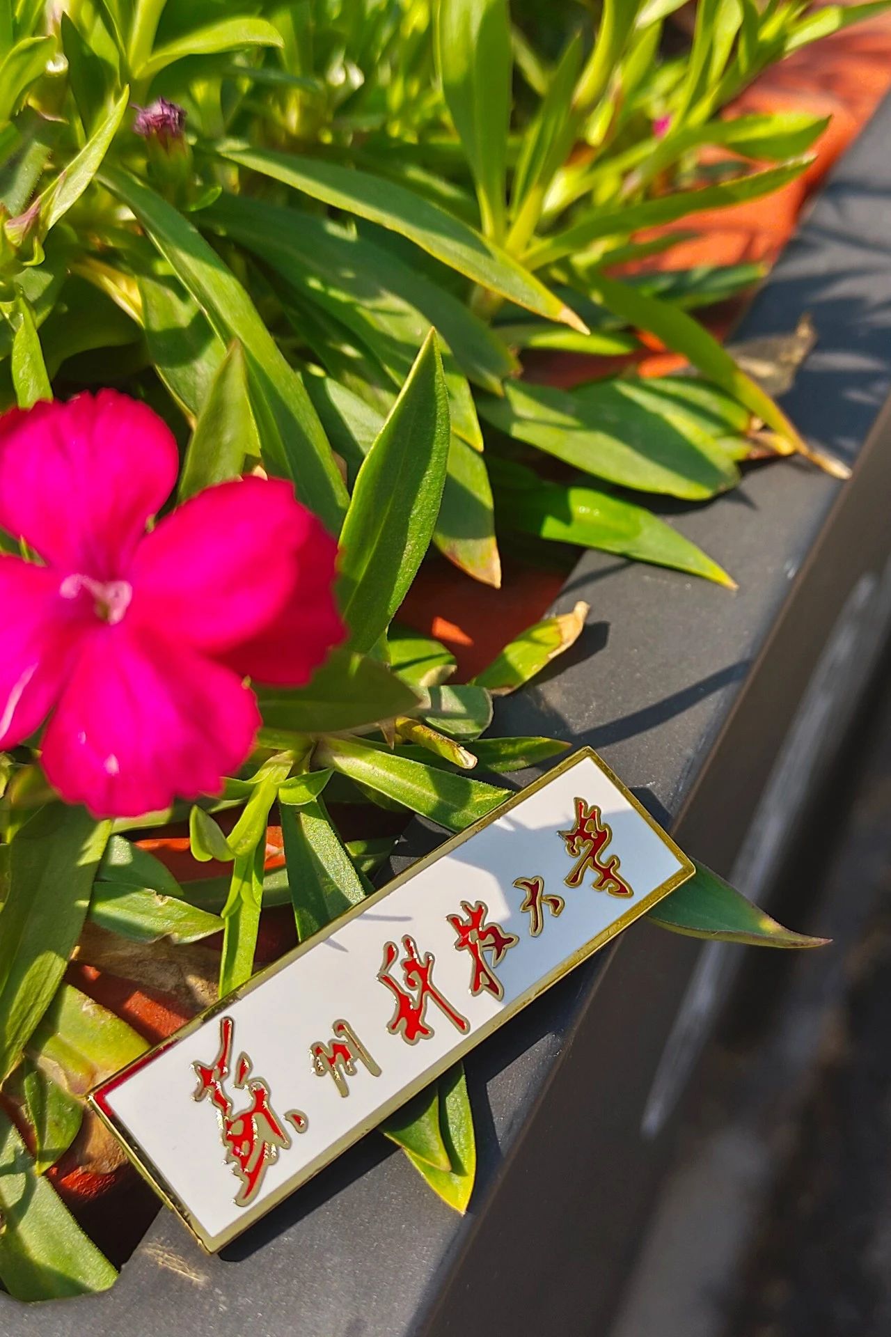 微信图片_20240410150908.jpg 微信图片_20240410150908.jpg