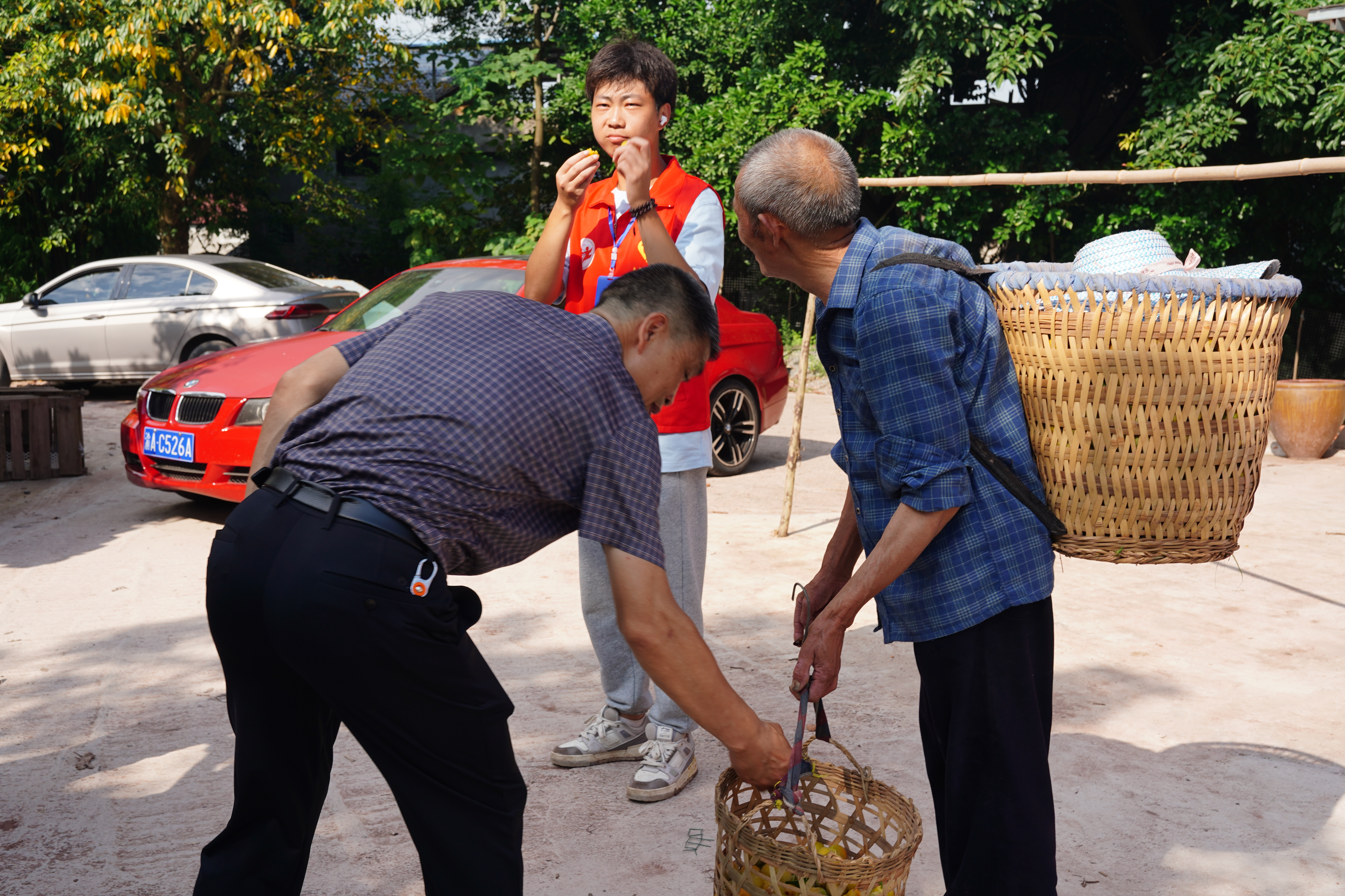 图3:团队成员品尝当地特色产品李子.JPG 图3:团队成员品尝当地特色产品李子.JPG