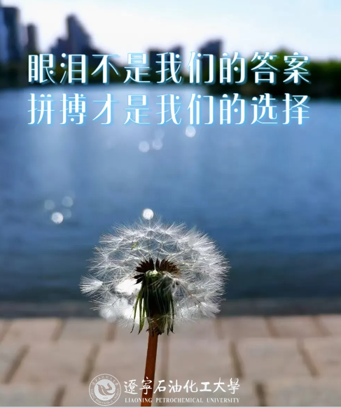 13.png