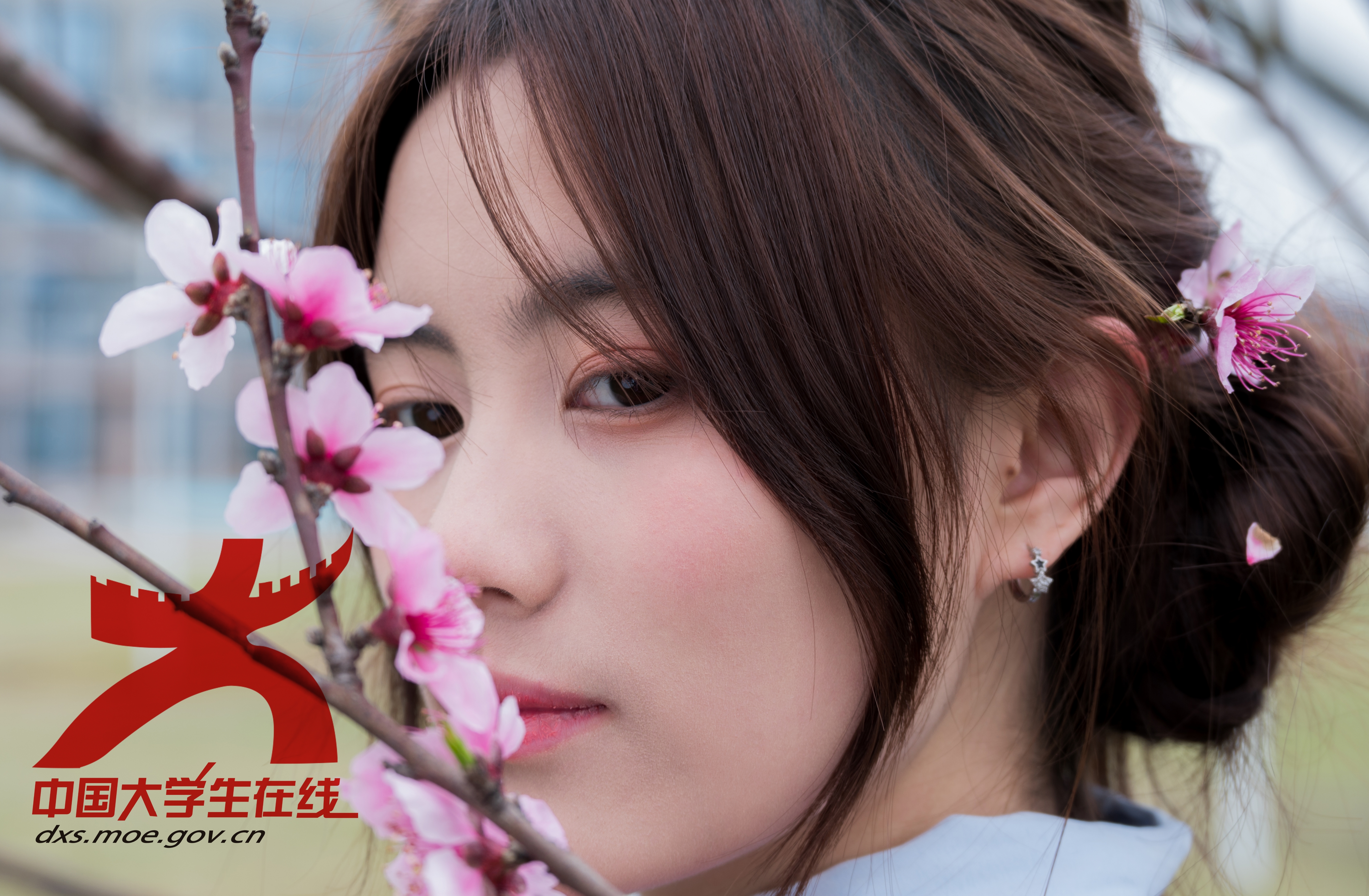 春枝掩面：女孩的脸庞在粉嫩桃花枝后若隐若现，发丝间点缀着花瓣，妆容淡雅，眼神温柔。黎昊然/摄