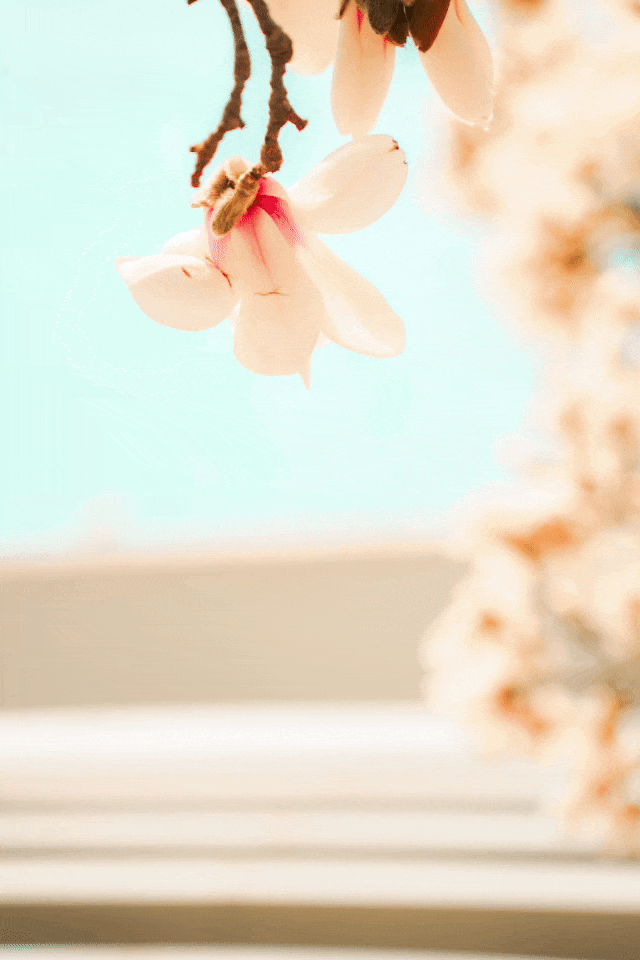 4.gif 4.gif