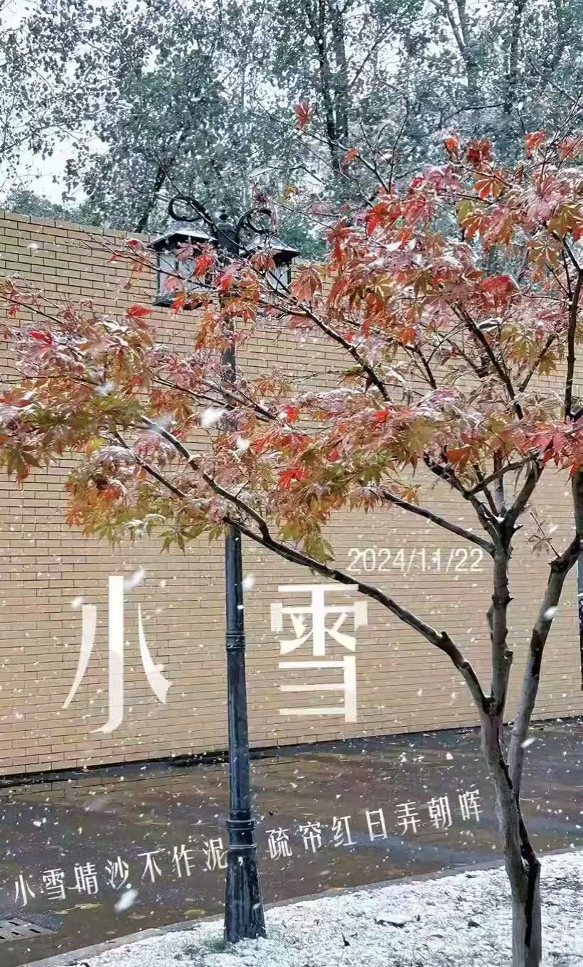 微信图片_20250202185411.jpg 微信图片_20250202185411.jpg
