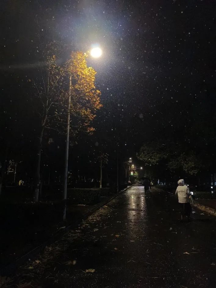 郑大美丽冬景.jpg 郑大美丽冬景.jpg
