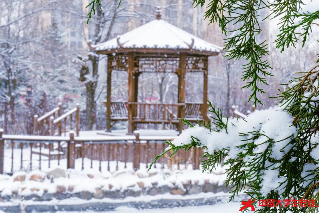 北国风光。包蓉摄.jfif