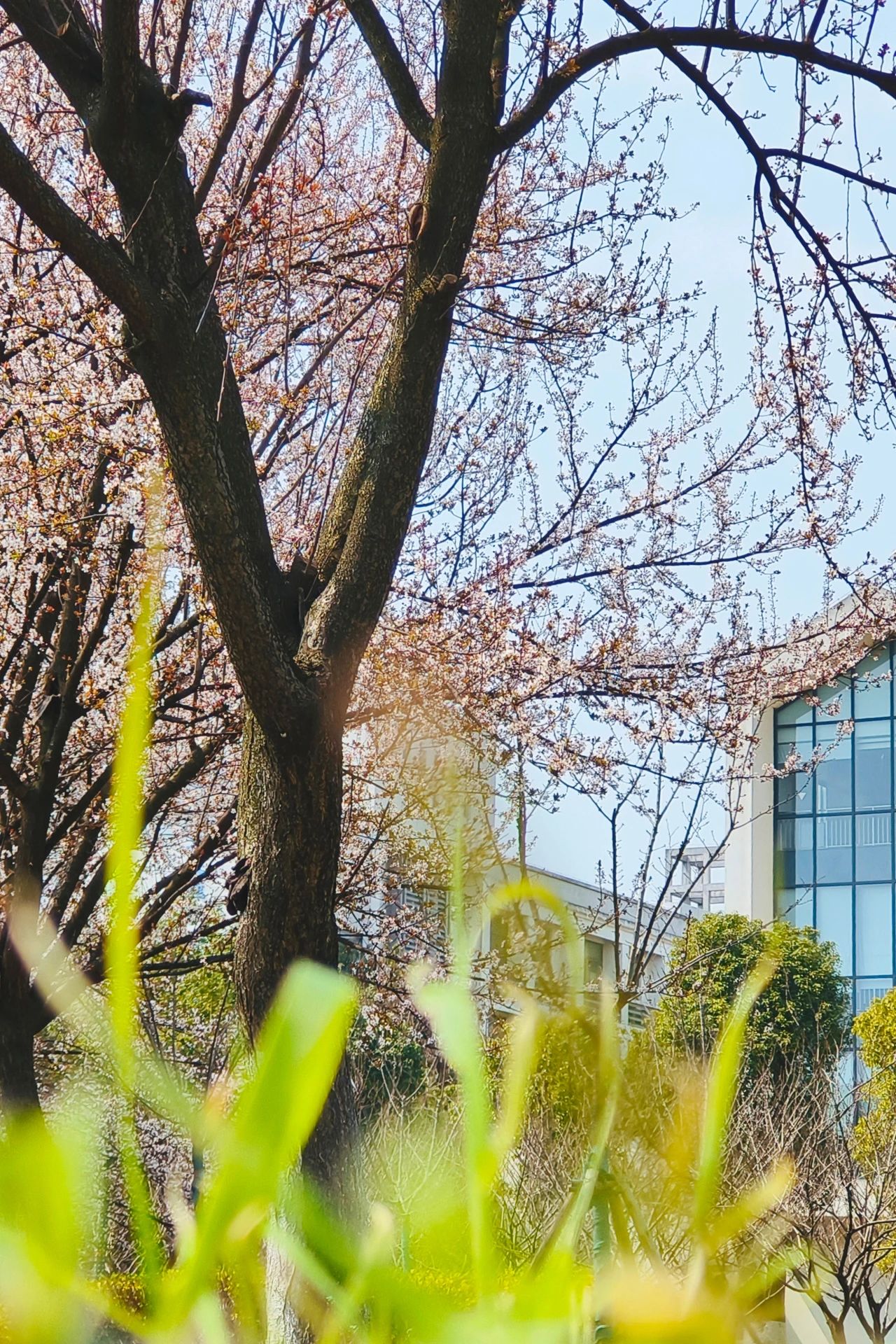 微信图片_20240410150802.jpg 微信图片_20240410150802.jpg