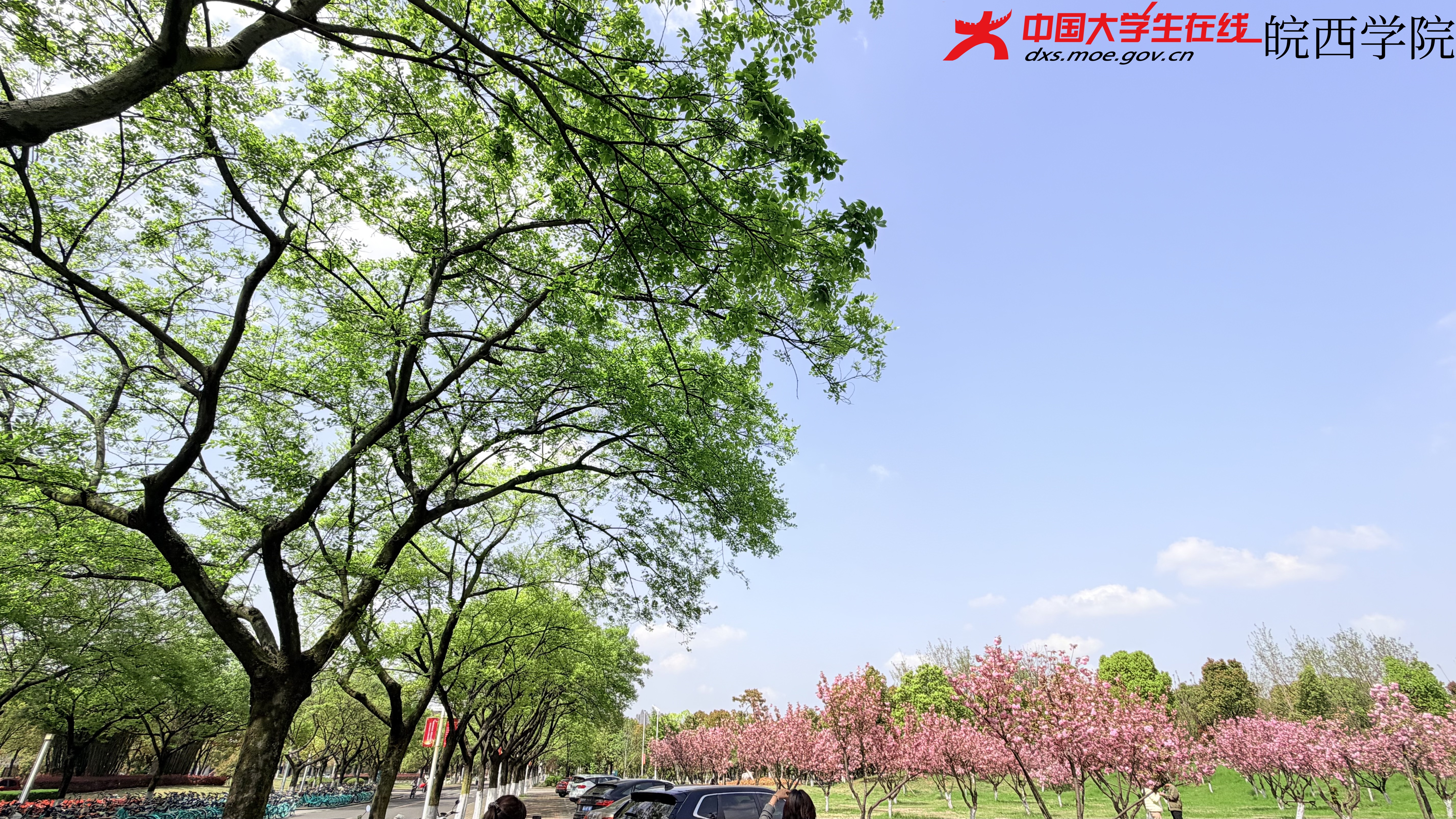 花是春天写给校园的明信片，每一瓣都盖着阳光的邮戳。