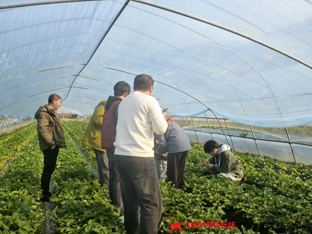 图片6.png 图片6.png