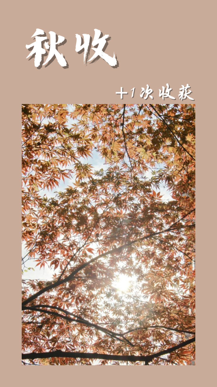 14.png 14.png