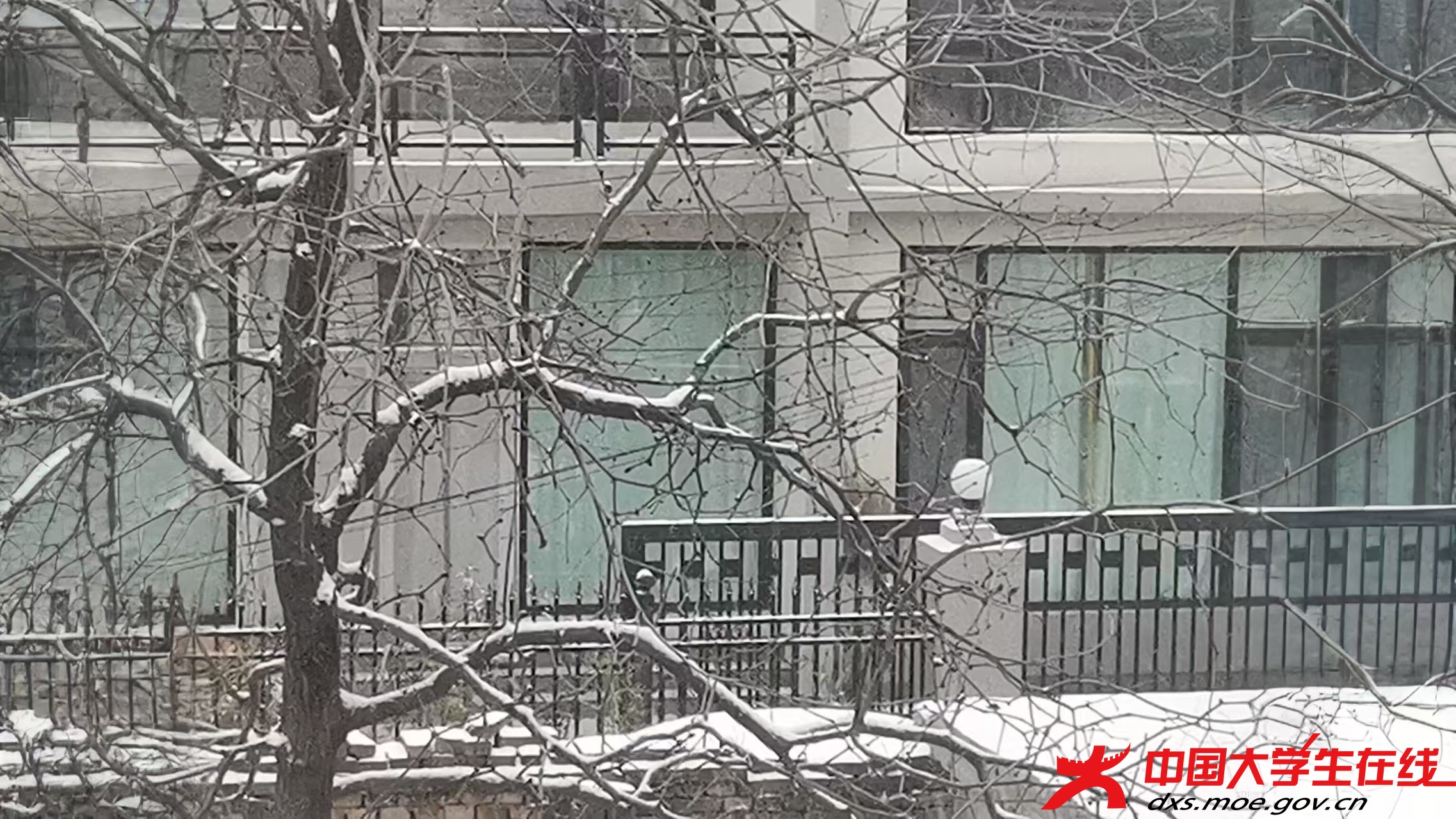 微信图片_20250327164914.jpg 微信图片_20250327164914.jpg