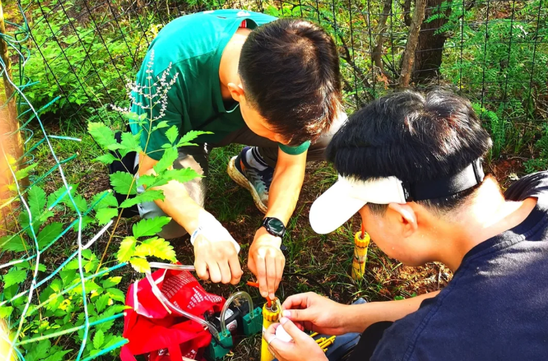 屏幕截图 2025-02-15 104338.png 屏幕截图 2025-02-15 104338.png