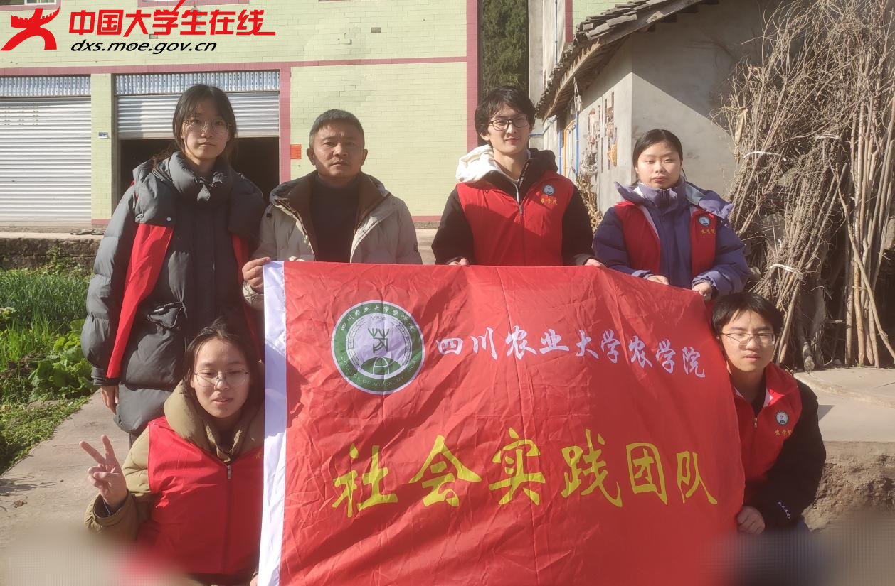 图片 3.png 图片 3.png