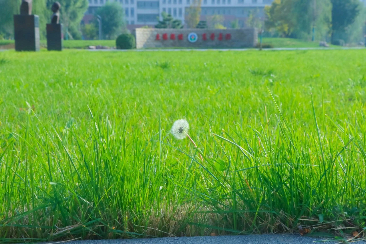 微信图片_20250324161712.jpg