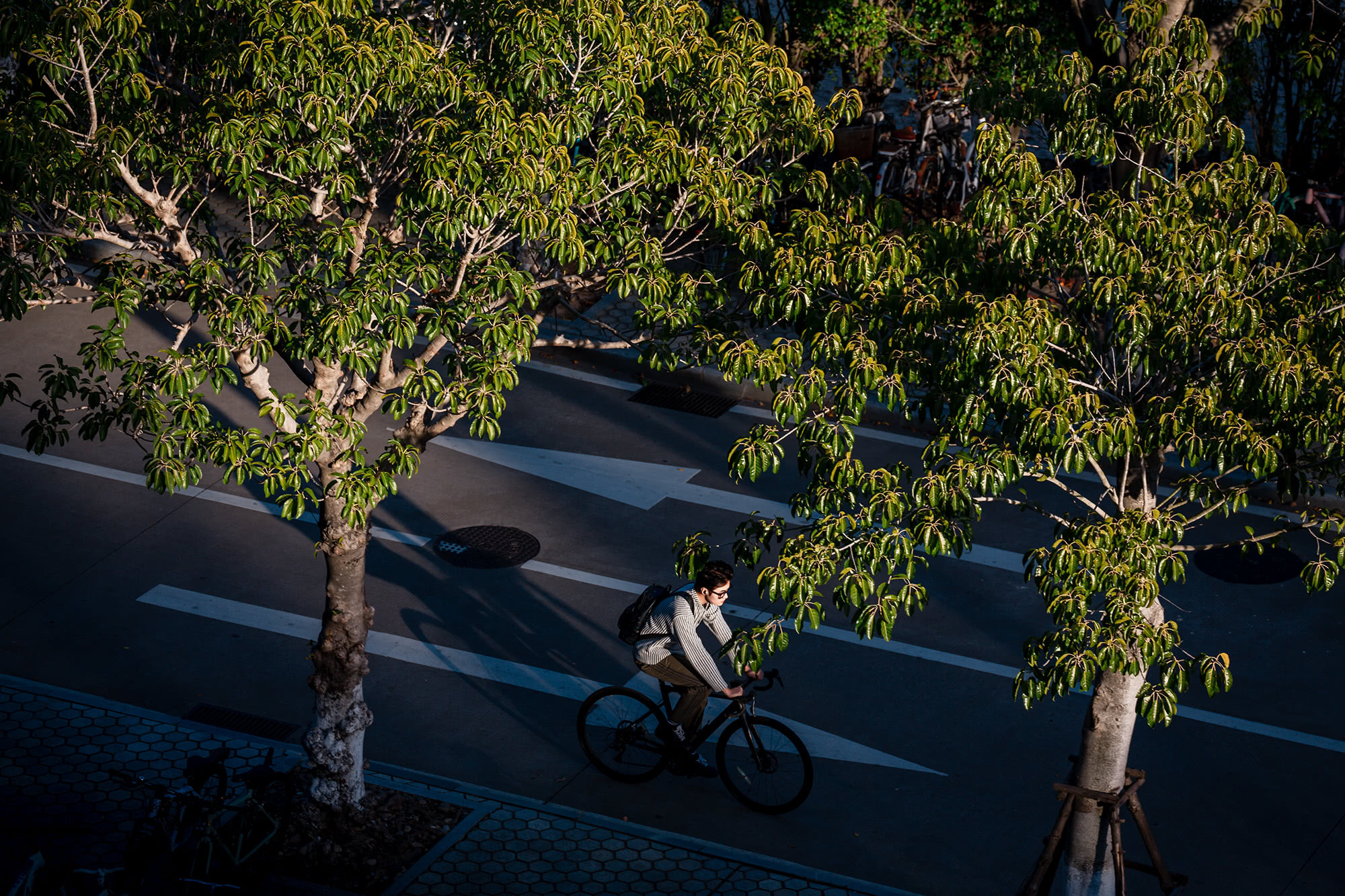 骑过落满夕阳的校道，车轮碾过的每一寸路，都写着“坚持”的注脚。考研的日子或许紧张，但正所谓岁月不居，时节如流。回首往事时，我们终究会发现，这份奔赴本身，记载着青春最动人的诗行。（摄影：朱鲜艳）