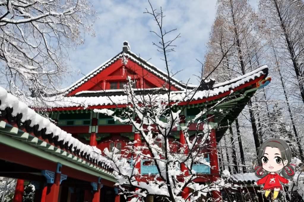 白雪与红墙更配，下雪的随园绝美。南京师范大学 摄