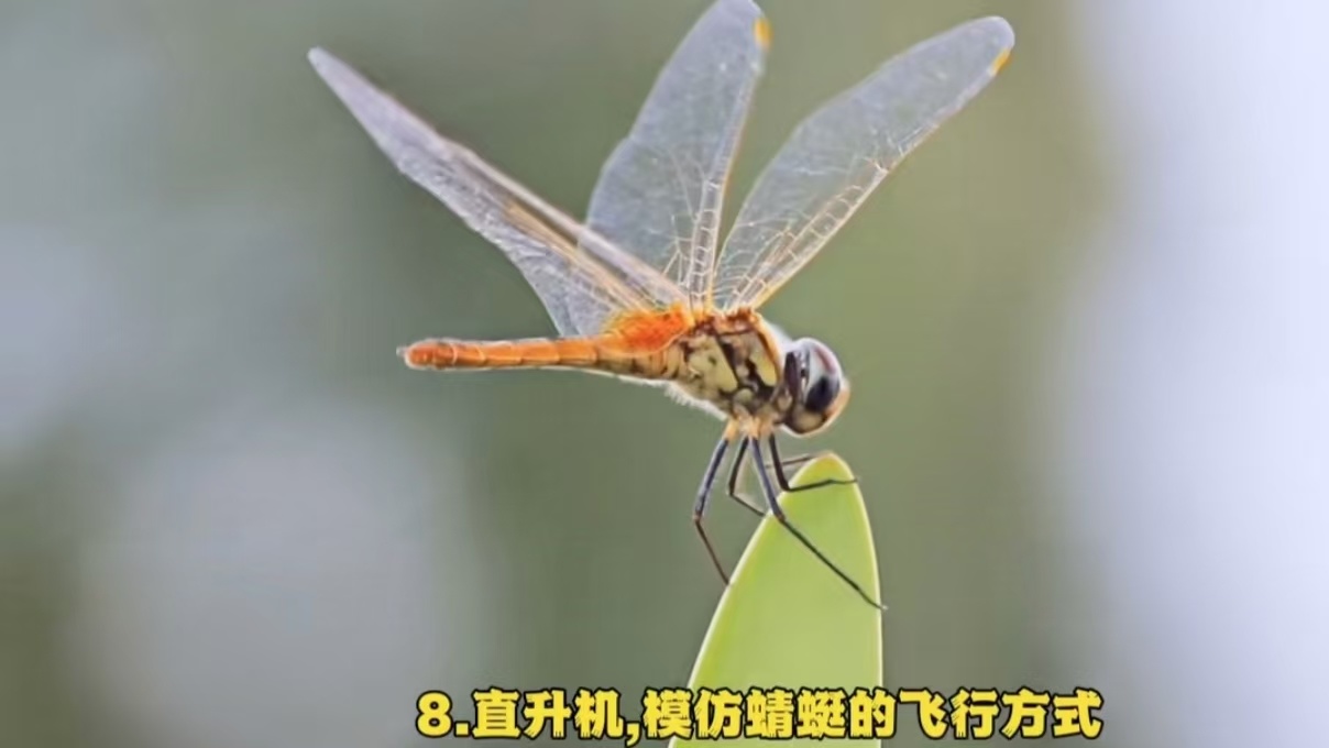 _cgi-bin_mmwebwx-bin_webwxgetmsgimg__&MsgID=2591056278532423600&skey=@crypt_a35f48c2_ae22995924ba941bbe0bb8471c4a198e&mmweb_appid=wx_webfilehelper.jfif