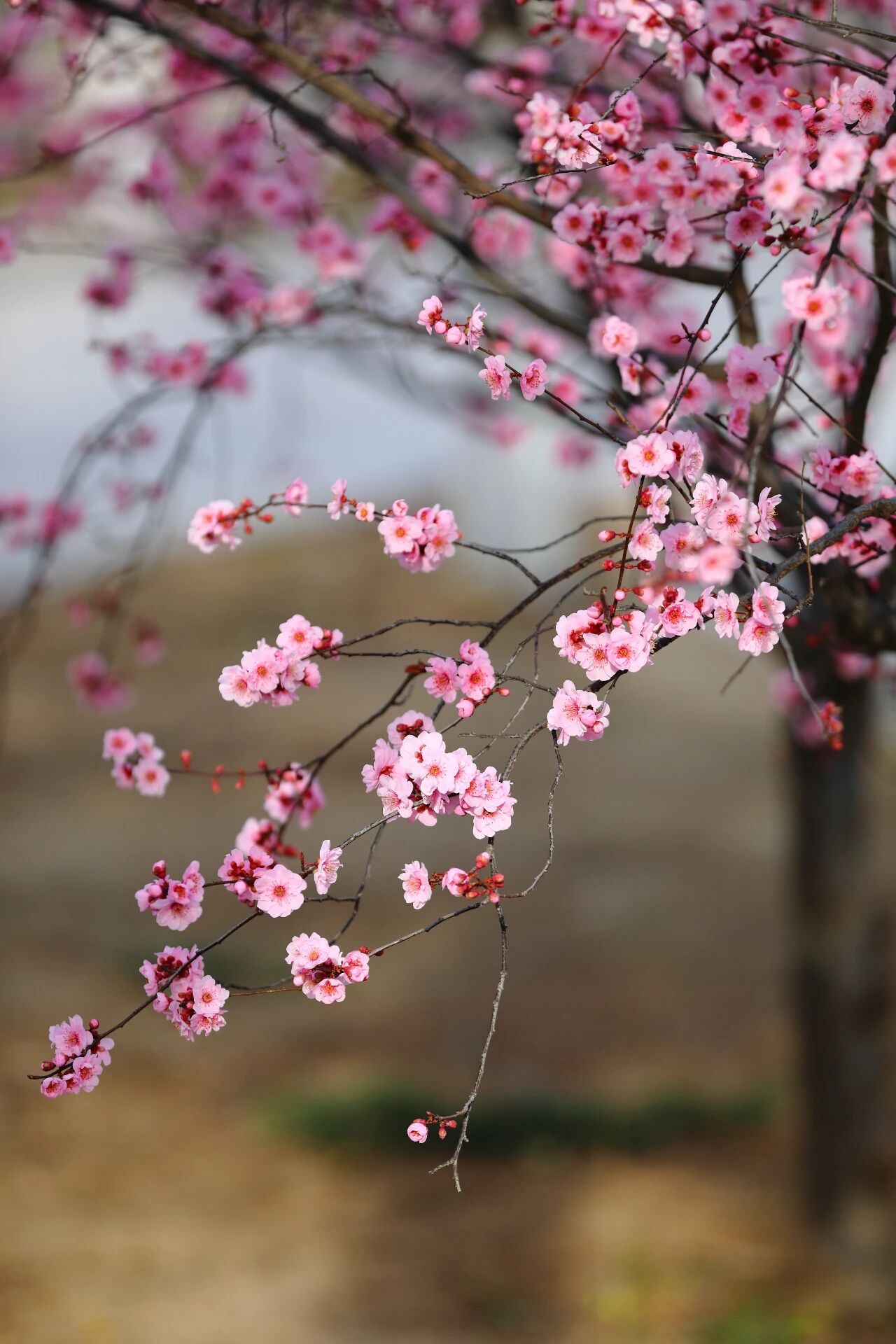 微信图片_2026-03-24_191040_990.jpg 微信图片_2026-03-24_191040_990.jpg