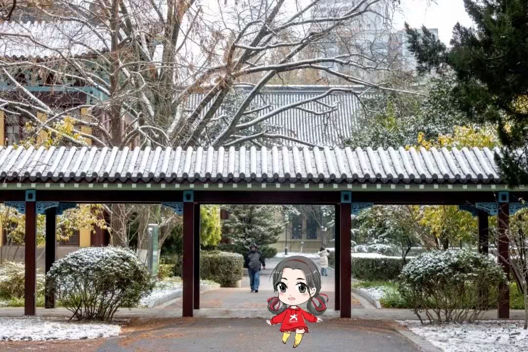 走在初雪的校园，感受一份独属于冬日的美好静谧。 南京师范大学 摄