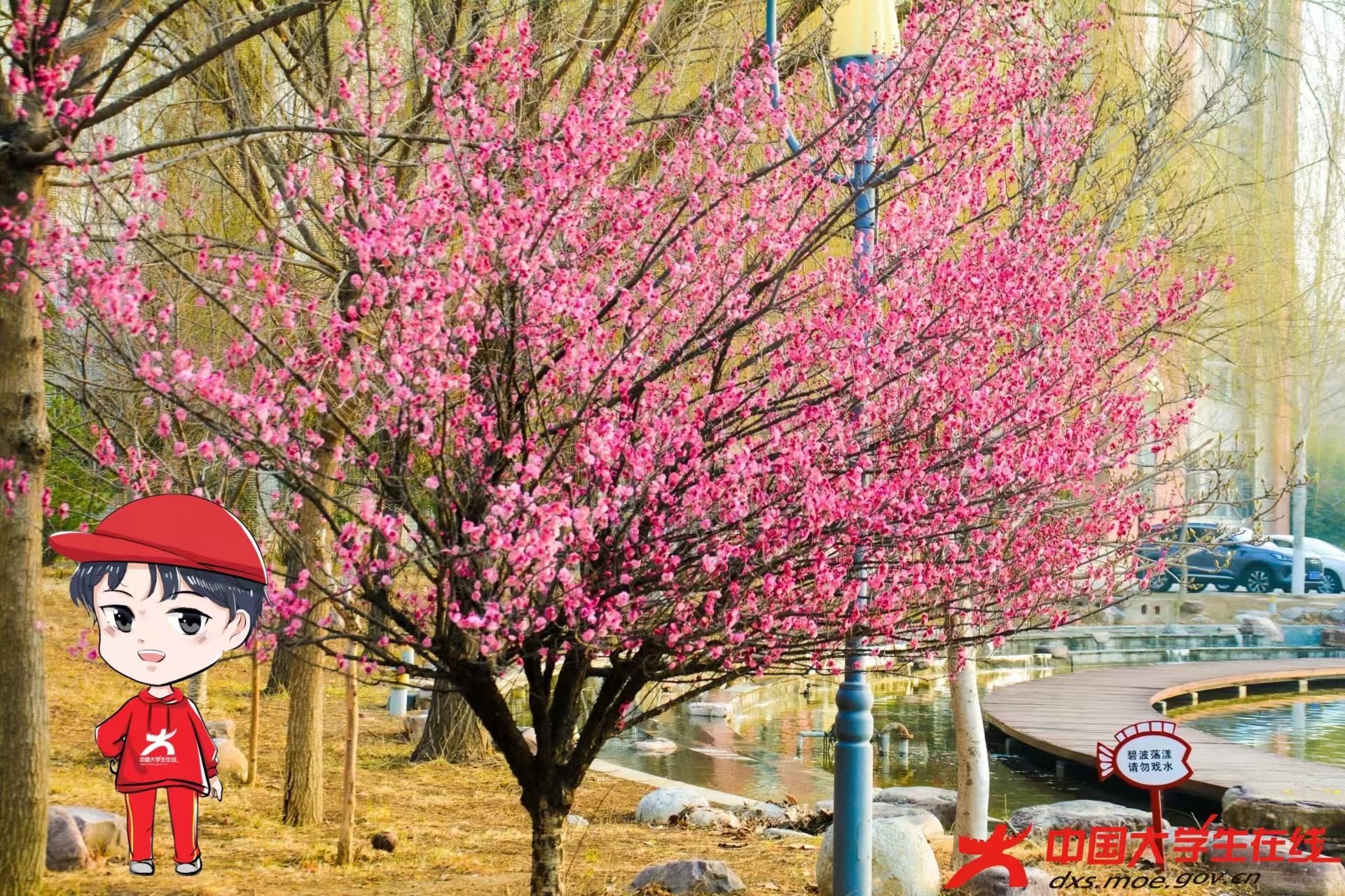 微信图片_202503142202211.jpg 微信图片_202503142202211.jpg