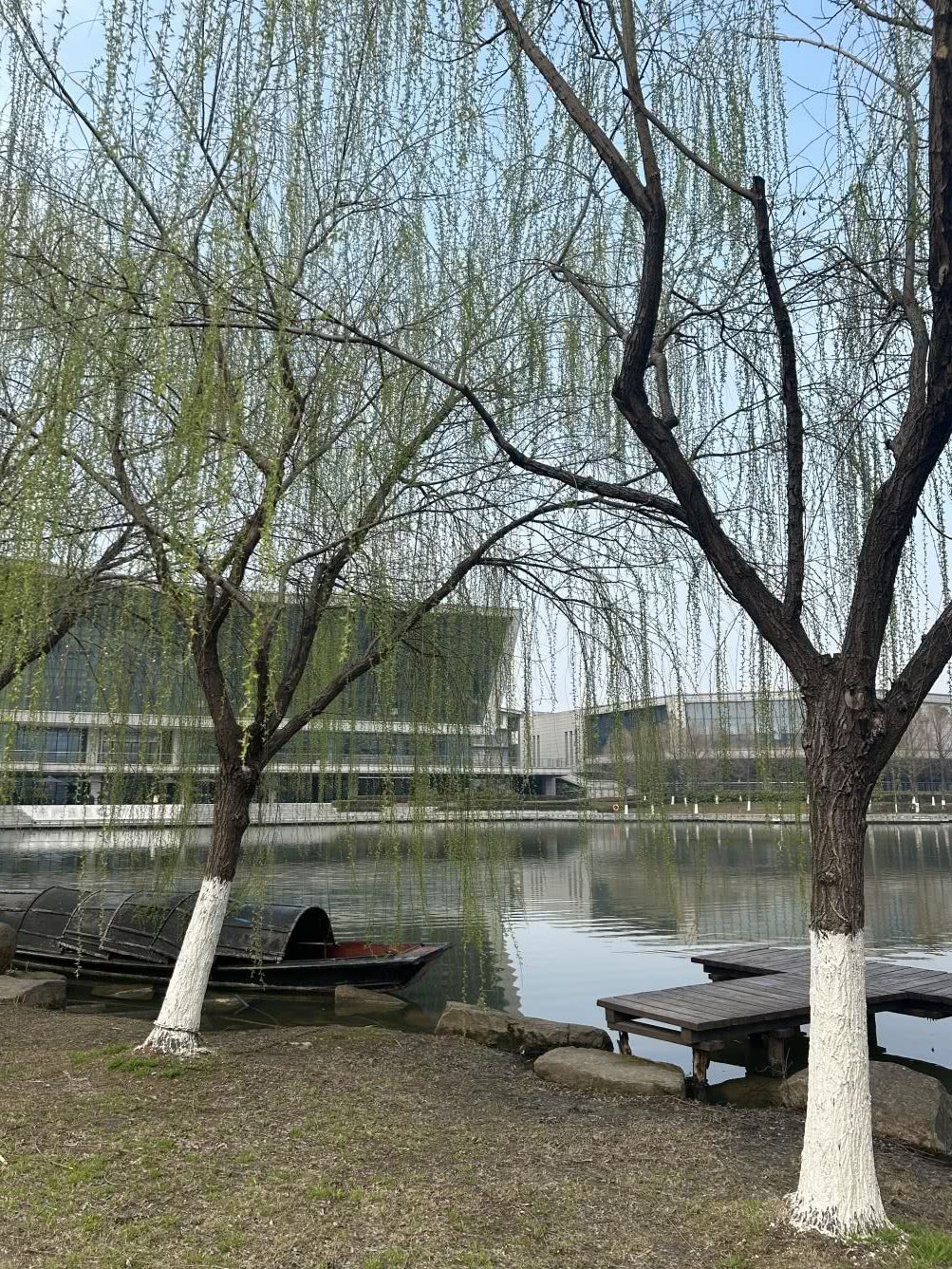 图片3.jpg 图片3.jpg