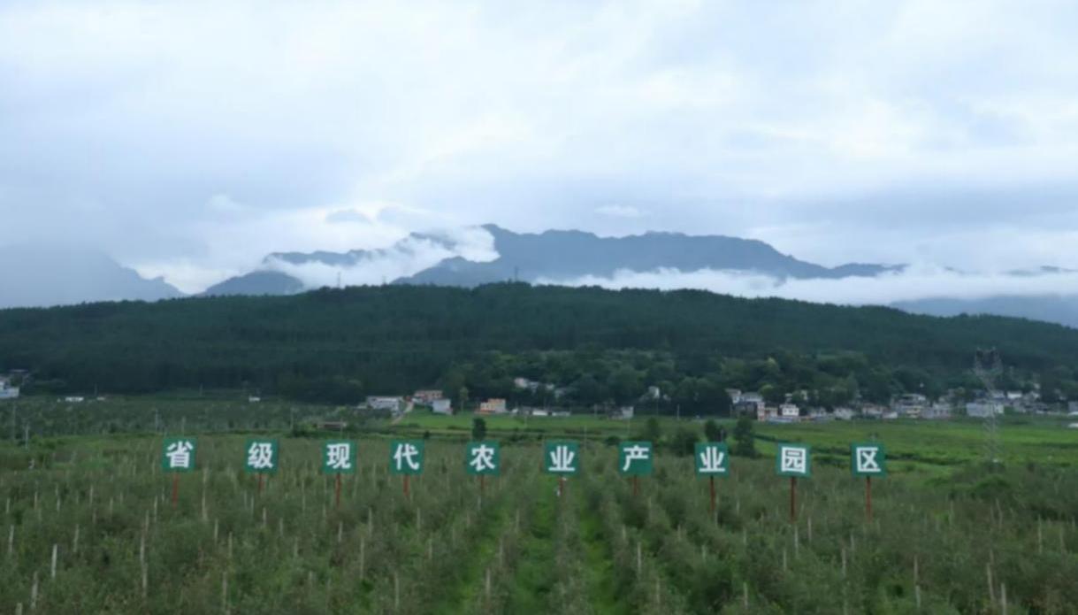 WPS图片(1).jpeg