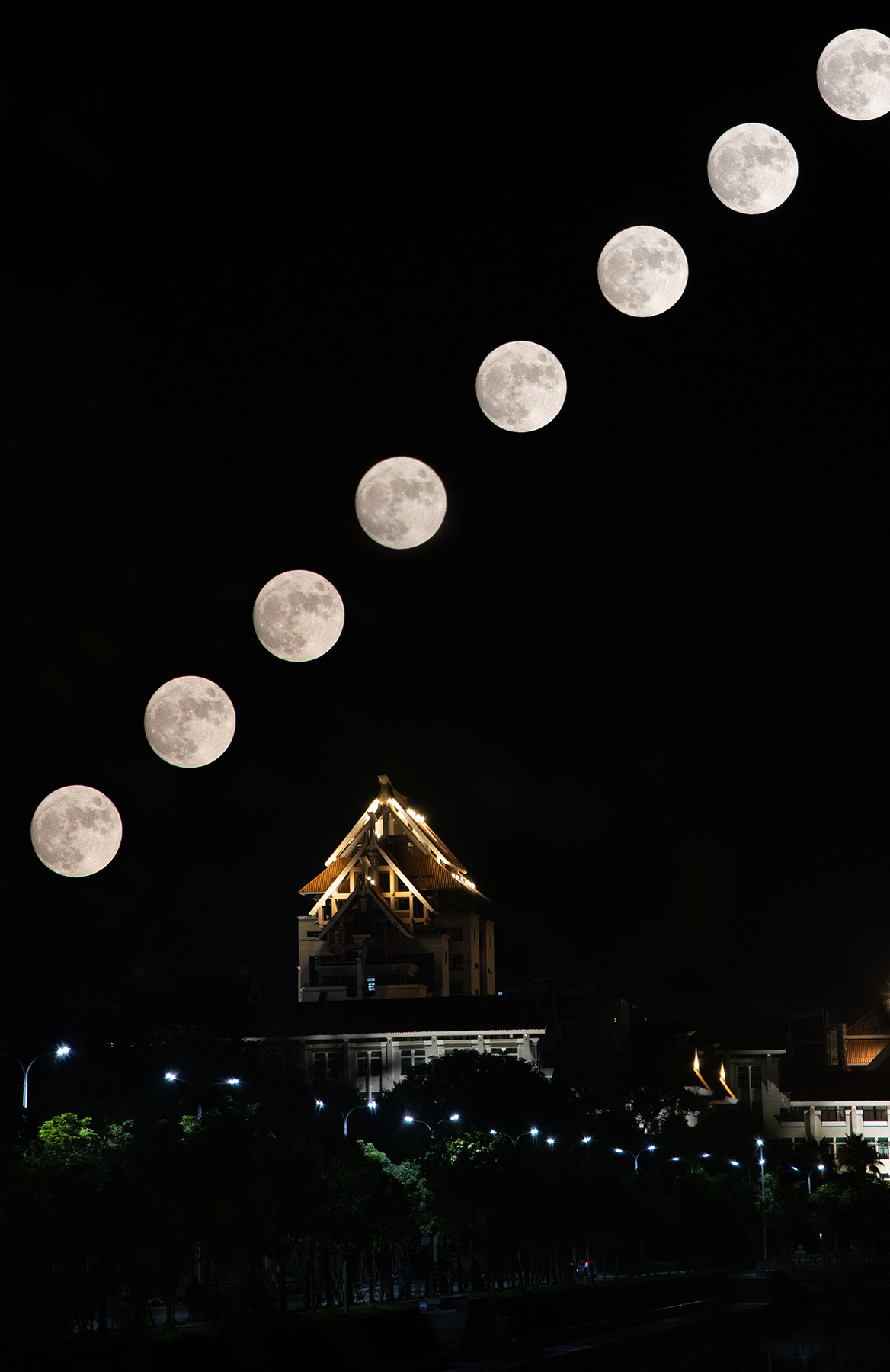 厦门大学嘉庚学院丨抓住秋天的小尾巴寻找秋天埋下的秘密