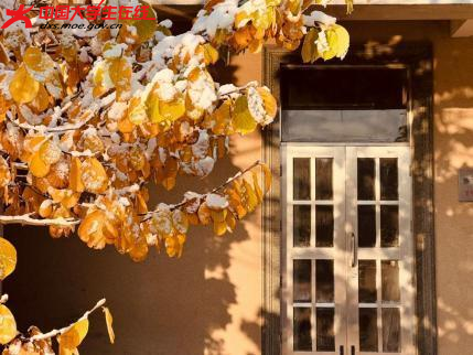 秋冬相接处
最是美景好时节

2023年11月6日拍摄的渤大雪景 。渤海大学 董俊彤 摄