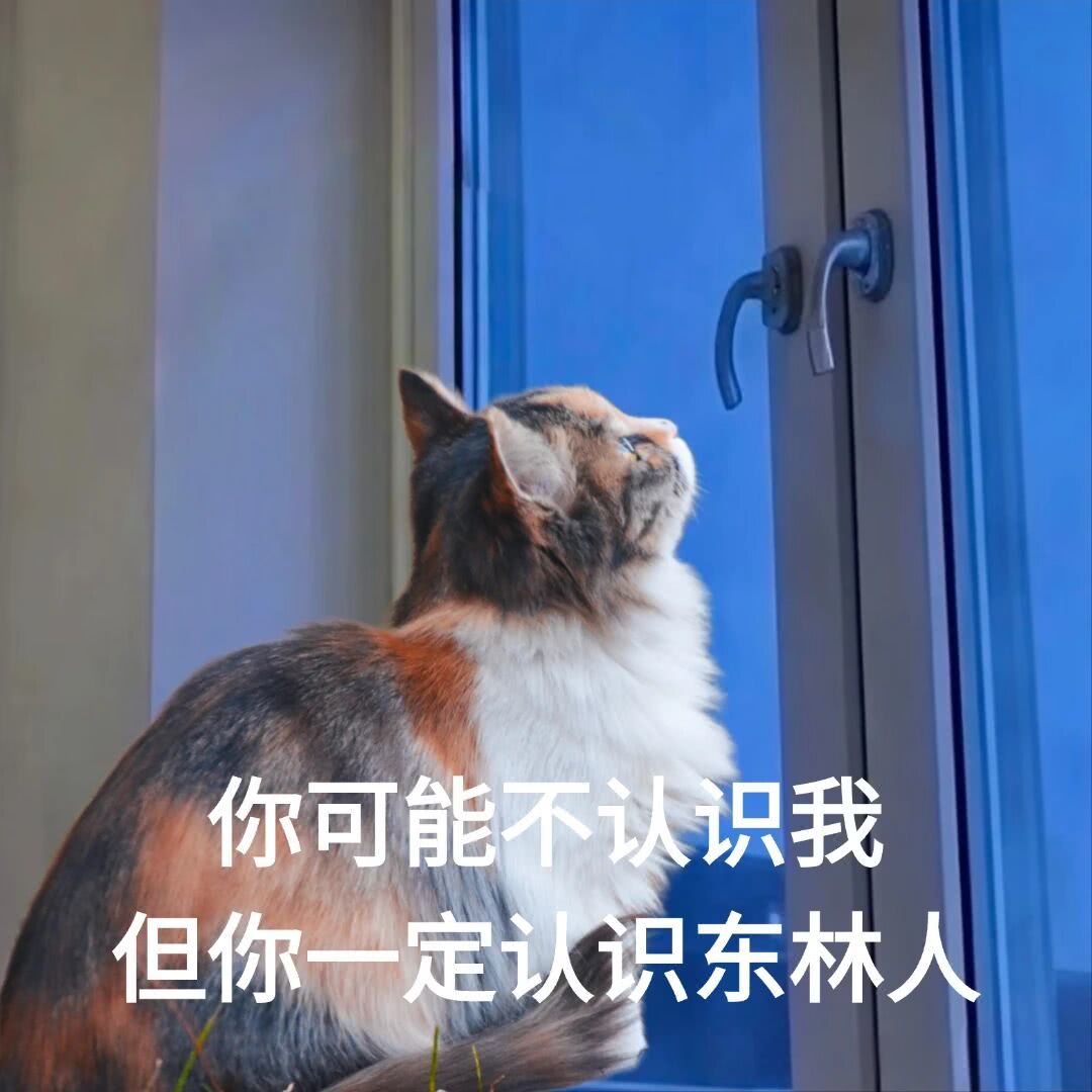 微信图片_2026-06-27_153218_075.jpg