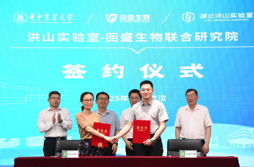 屏幕截图 2025-06-28 233903.png