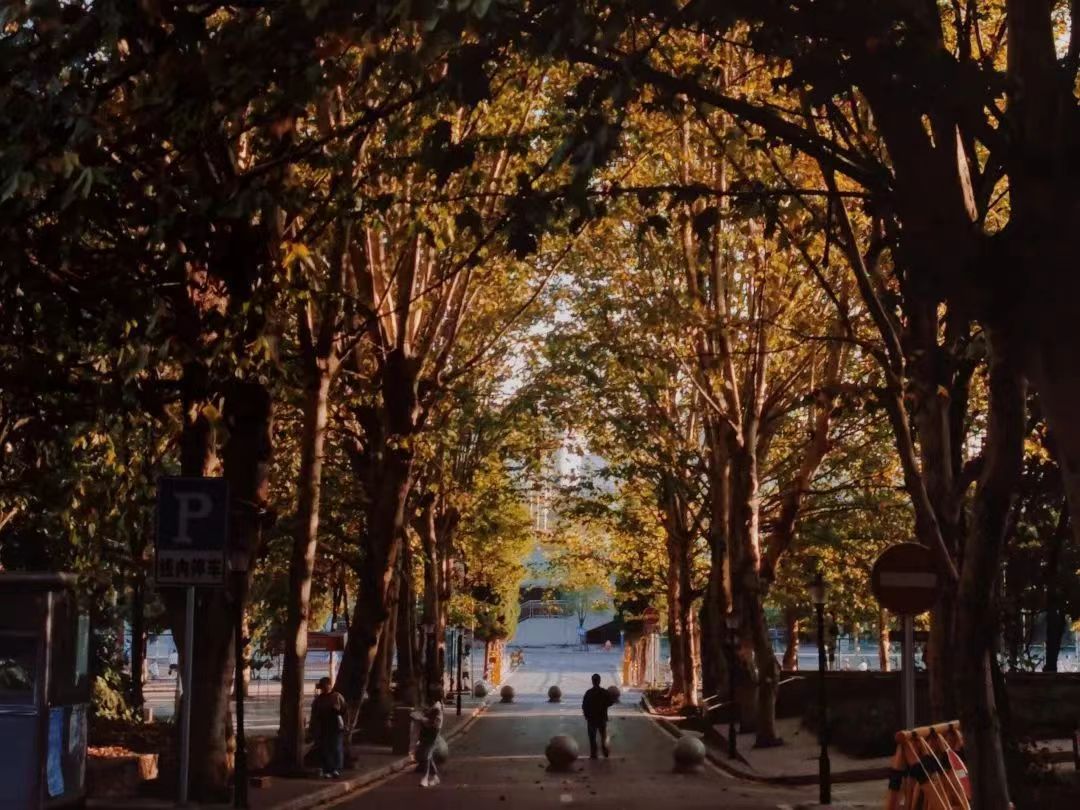 微信图片_20230307145224.jpg 微信图片_20230307145224.jpg