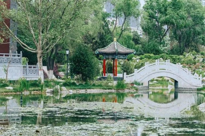 图片2.jpg