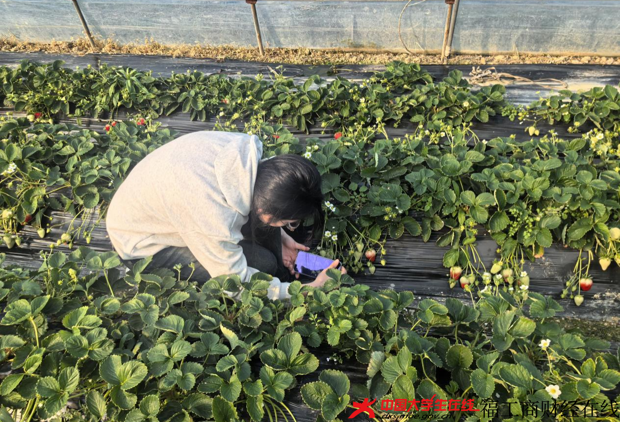 图片5.png 图片5.png