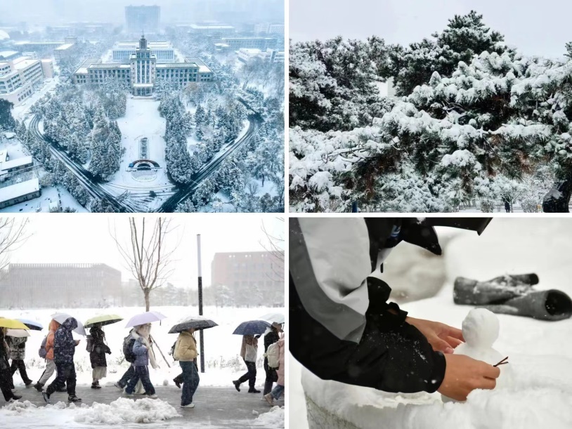 东北大学.jpg 东北大学.jpg