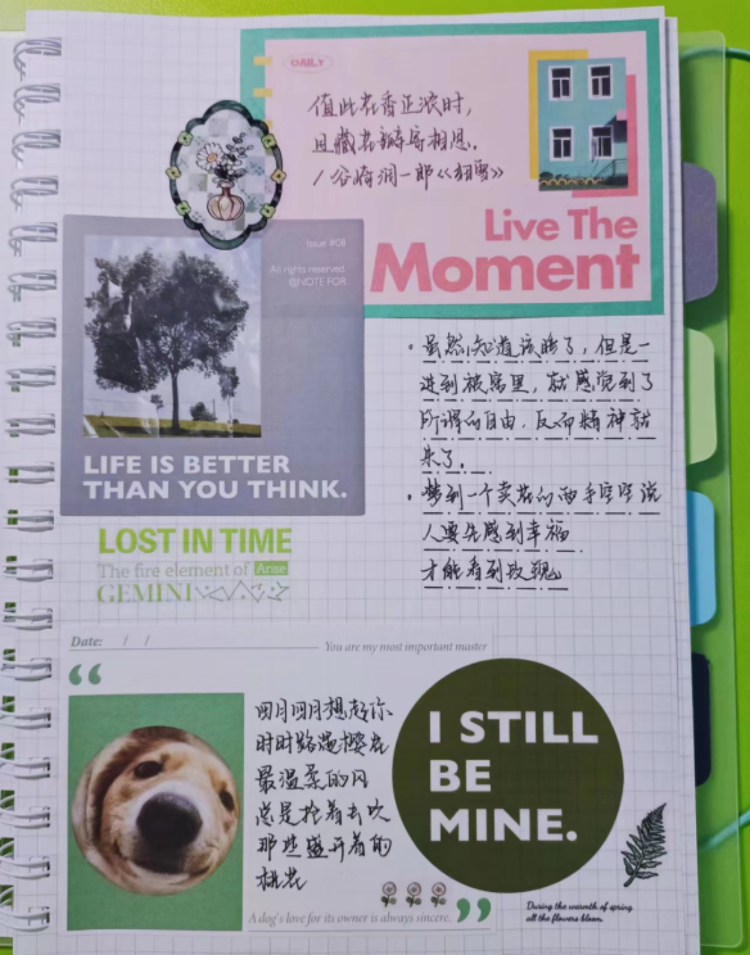 qzWYwKq5_PMHs.png qzWYwKq5_PMHs.png
