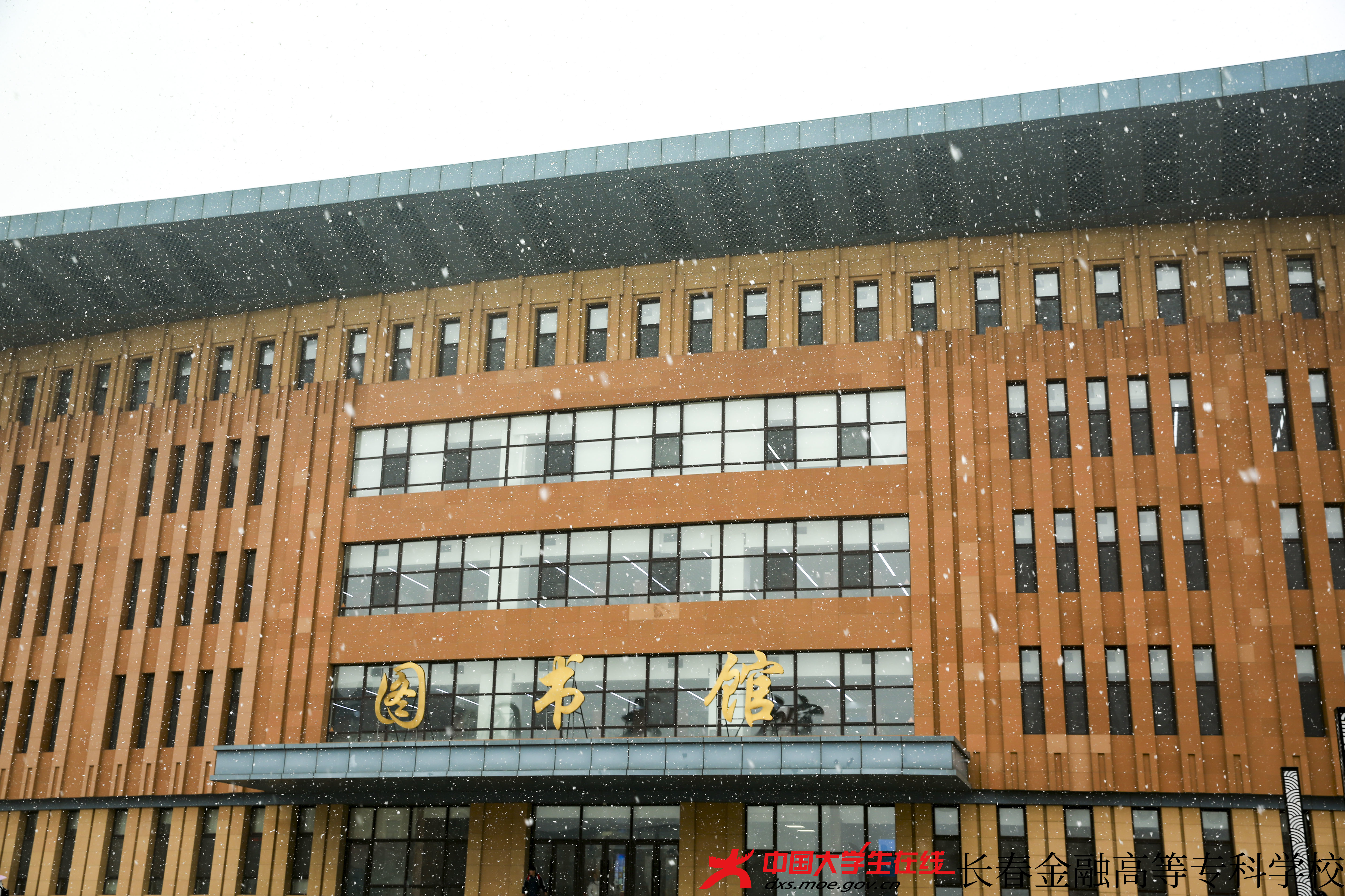 大学生记者团--金专初雪