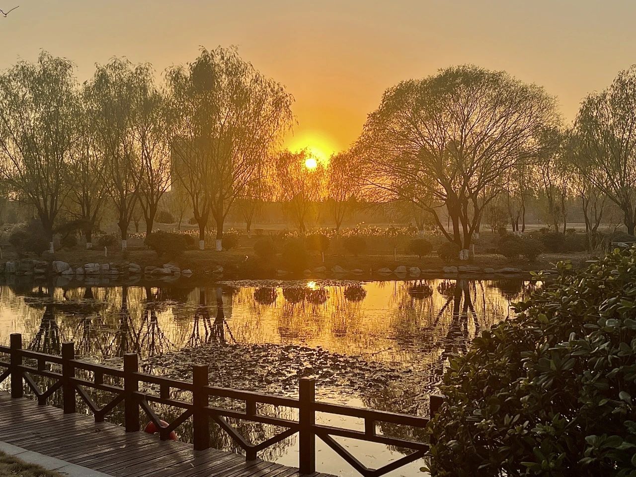 毕业13.jpg 毕业13.jpg