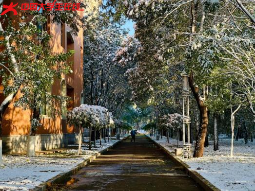 枝桠接过白雪 白雪亲吻大地

2023年11月6日拍摄的渤大雪景 。渤海大学 董俊彤 摄