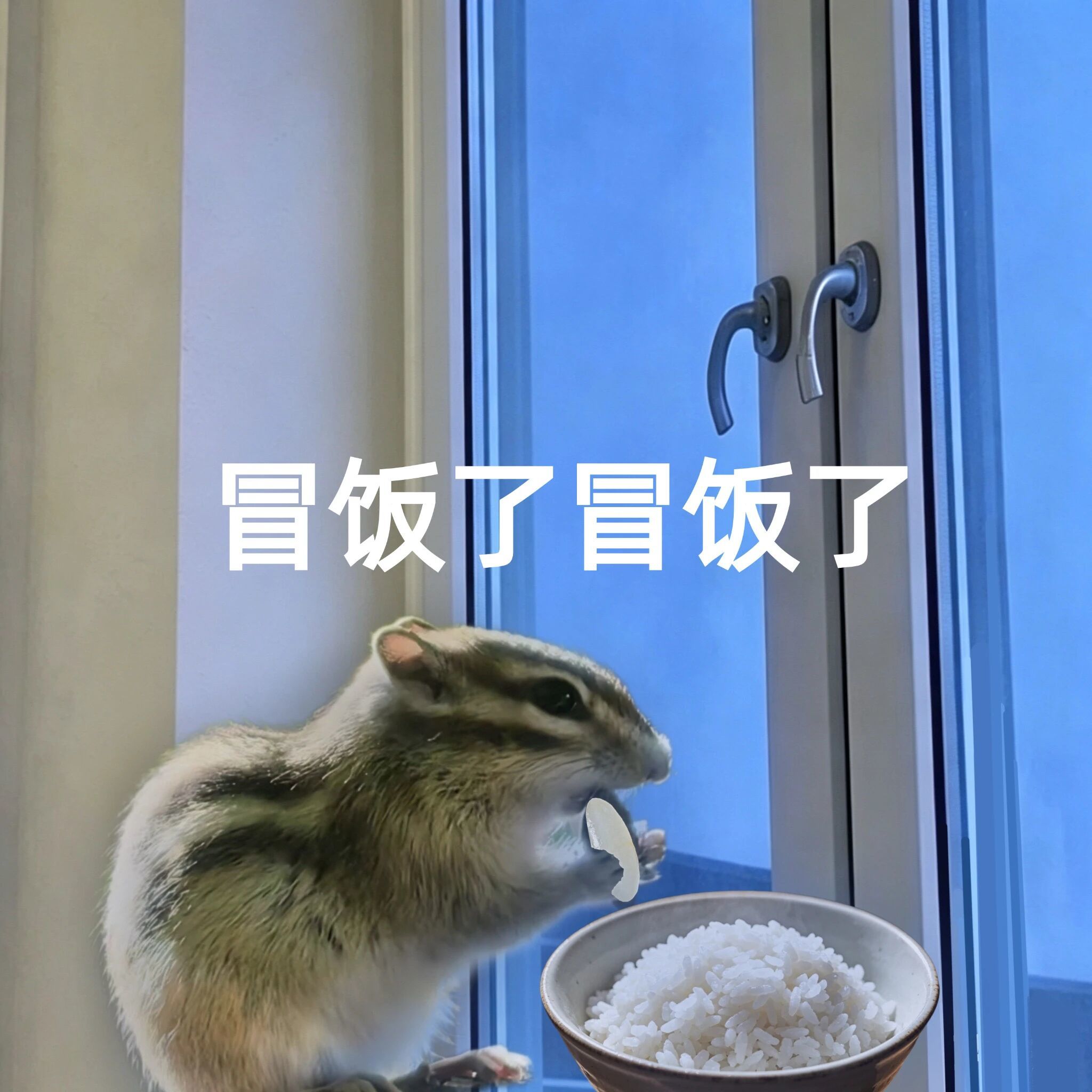 微信图片_2026-06-27_153157_424.jpg