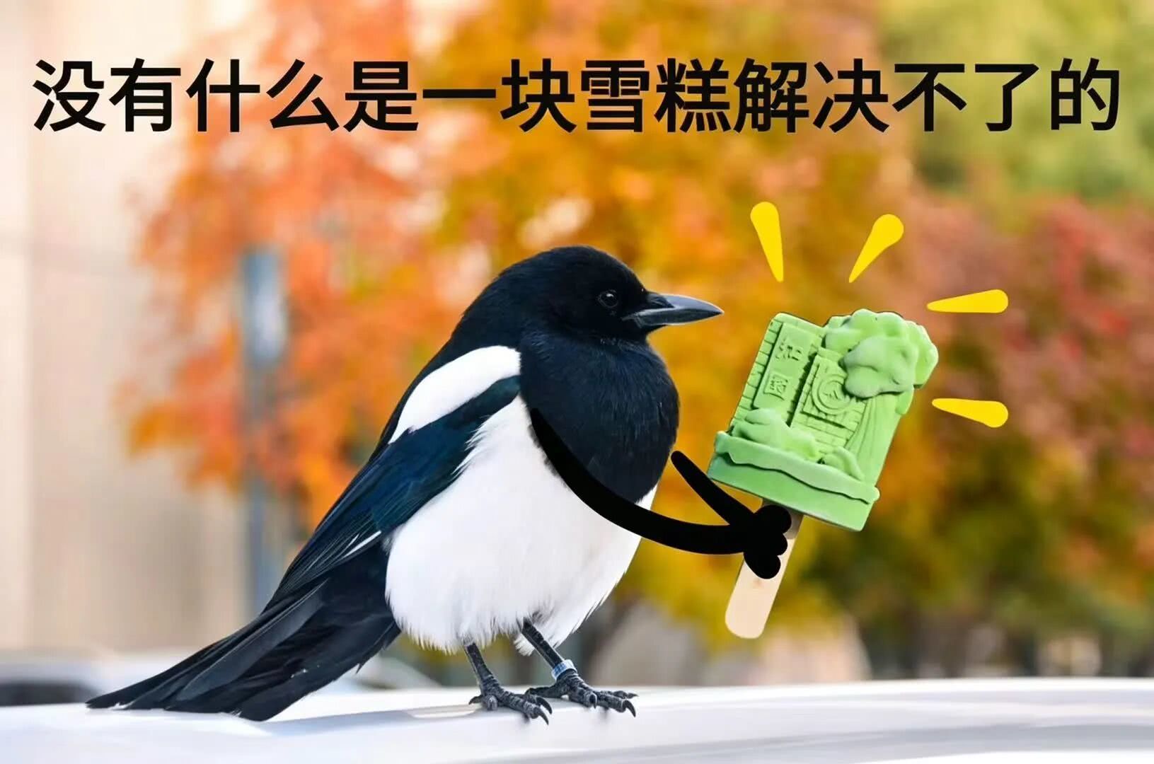 微信图片_2026-06-27_153244_111.jpg