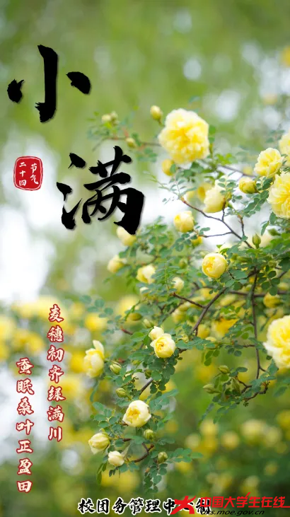 小满 校团务管理中心制.png