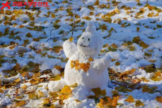 冬姑娘以雪为笔
在这美景中褪去浮躁的颜色
拥着恬淡的小精灵沉沉地睡去

2023年11月6日拍摄的渤大雪景 。渤海大学 陶金 摄