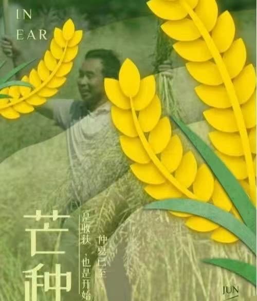 微信图片_20250202185730.jpg 微信图片_20250202185730.jpg