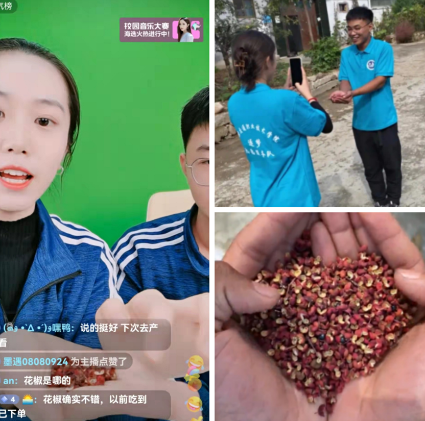 微信图片_20221125000443.png