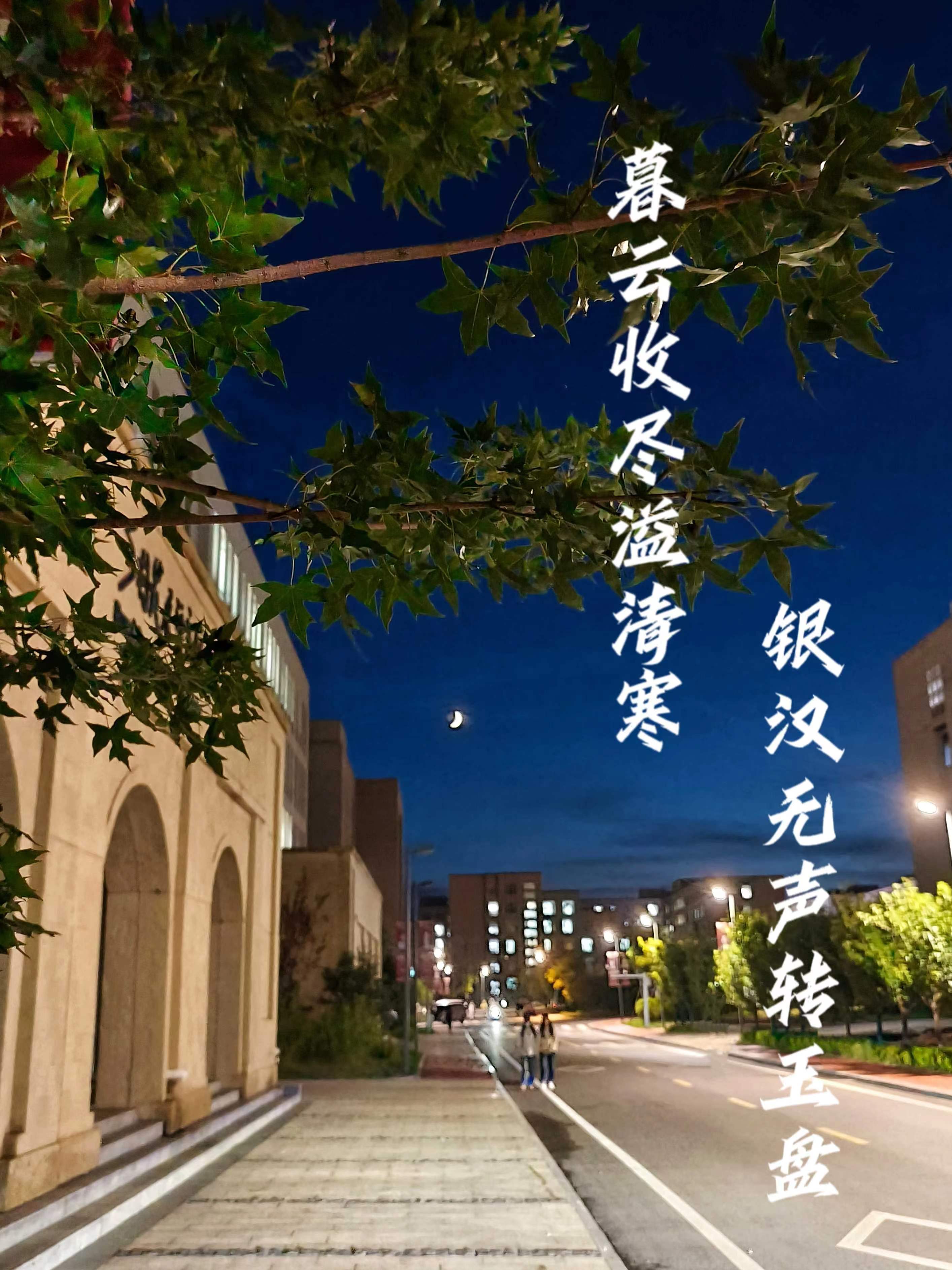 d6e1cc020c1345c25b933c9274c4f93.jpg