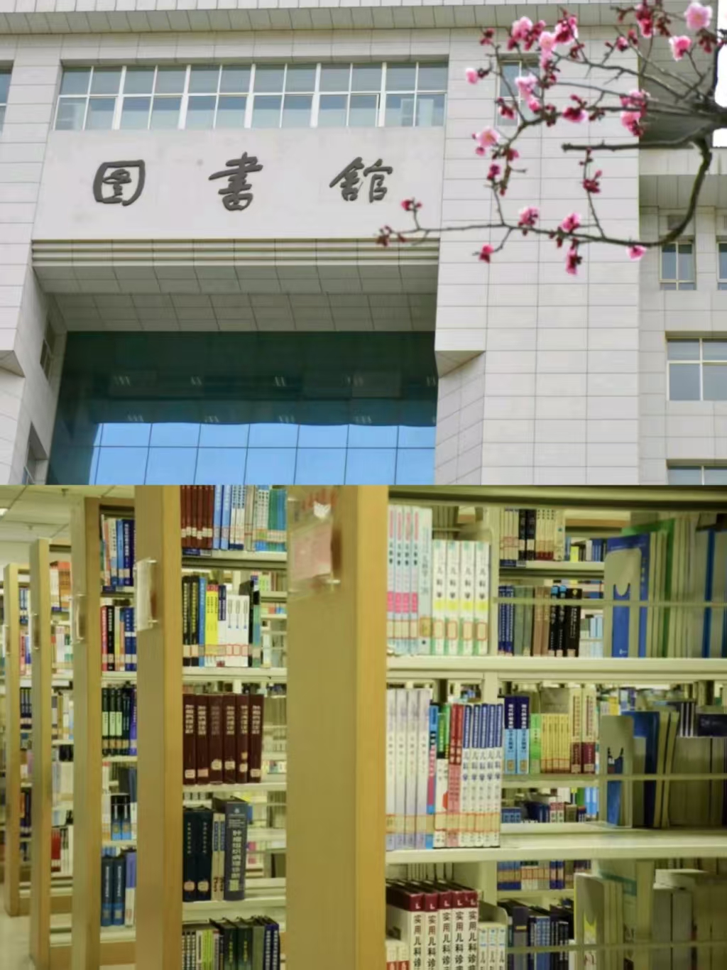 微信图片_20250409180609.jpg