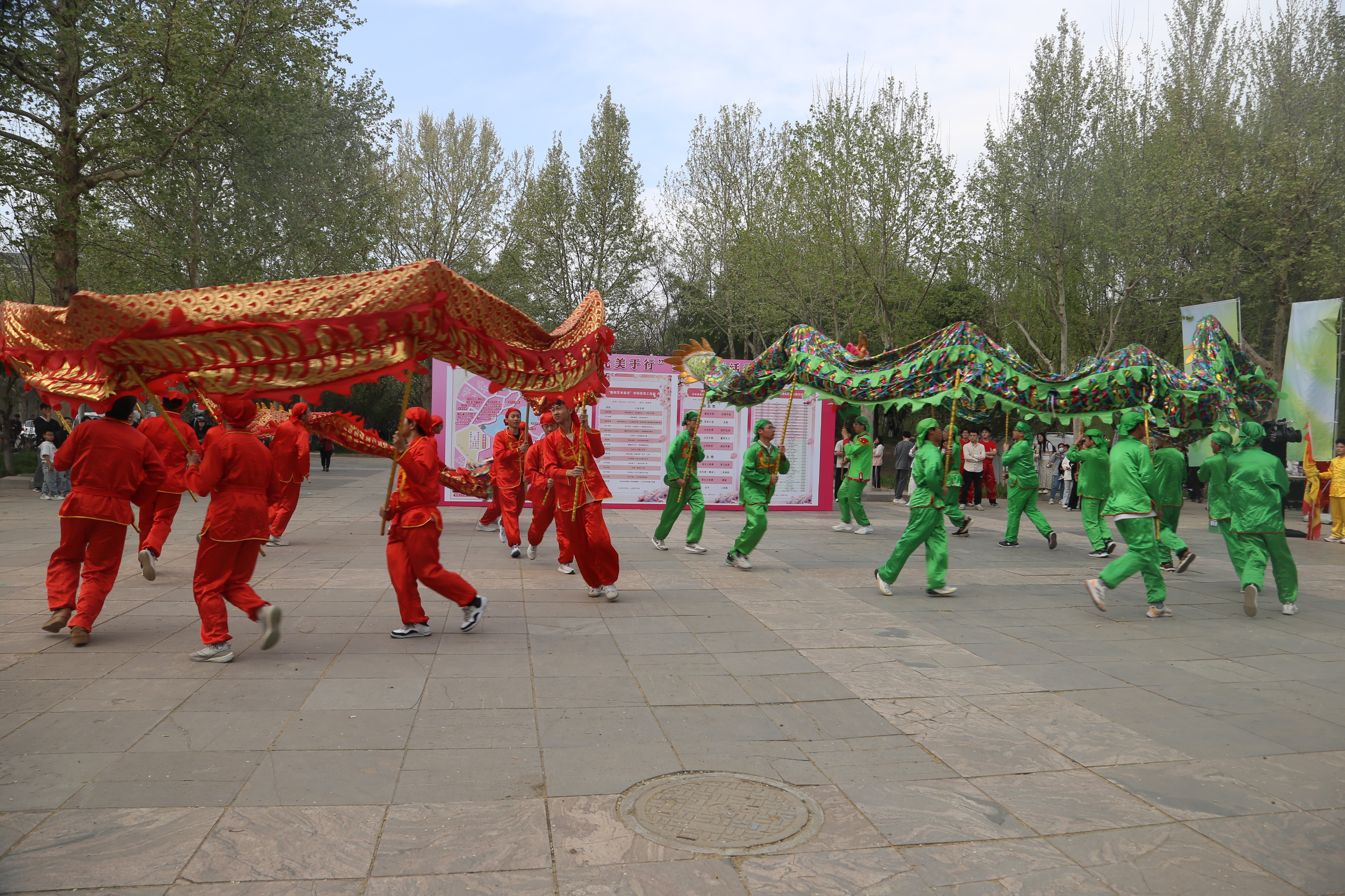 全国的龙舞有上百种，经过几千年的流传和发展，表现的形式更是多种多样。随着华人移民到世界各地，现在的龙舞文化，已经遍及各个华人集中的地区，成为中华文化的一个标志。