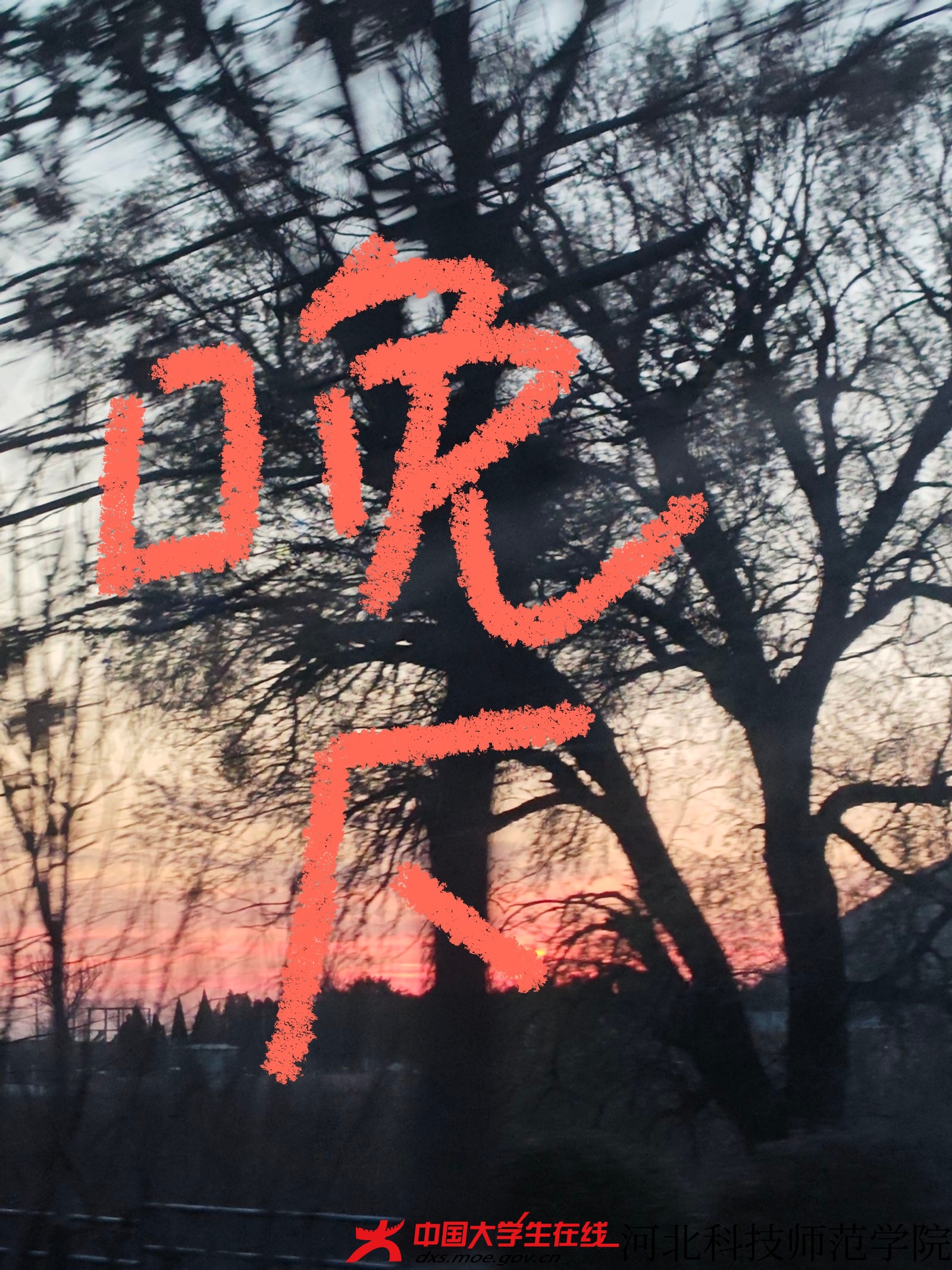 图7 赵鹏彪 摄 徐依林 绘.jpg 图7 赵鹏彪 摄 徐依林 绘.jpg